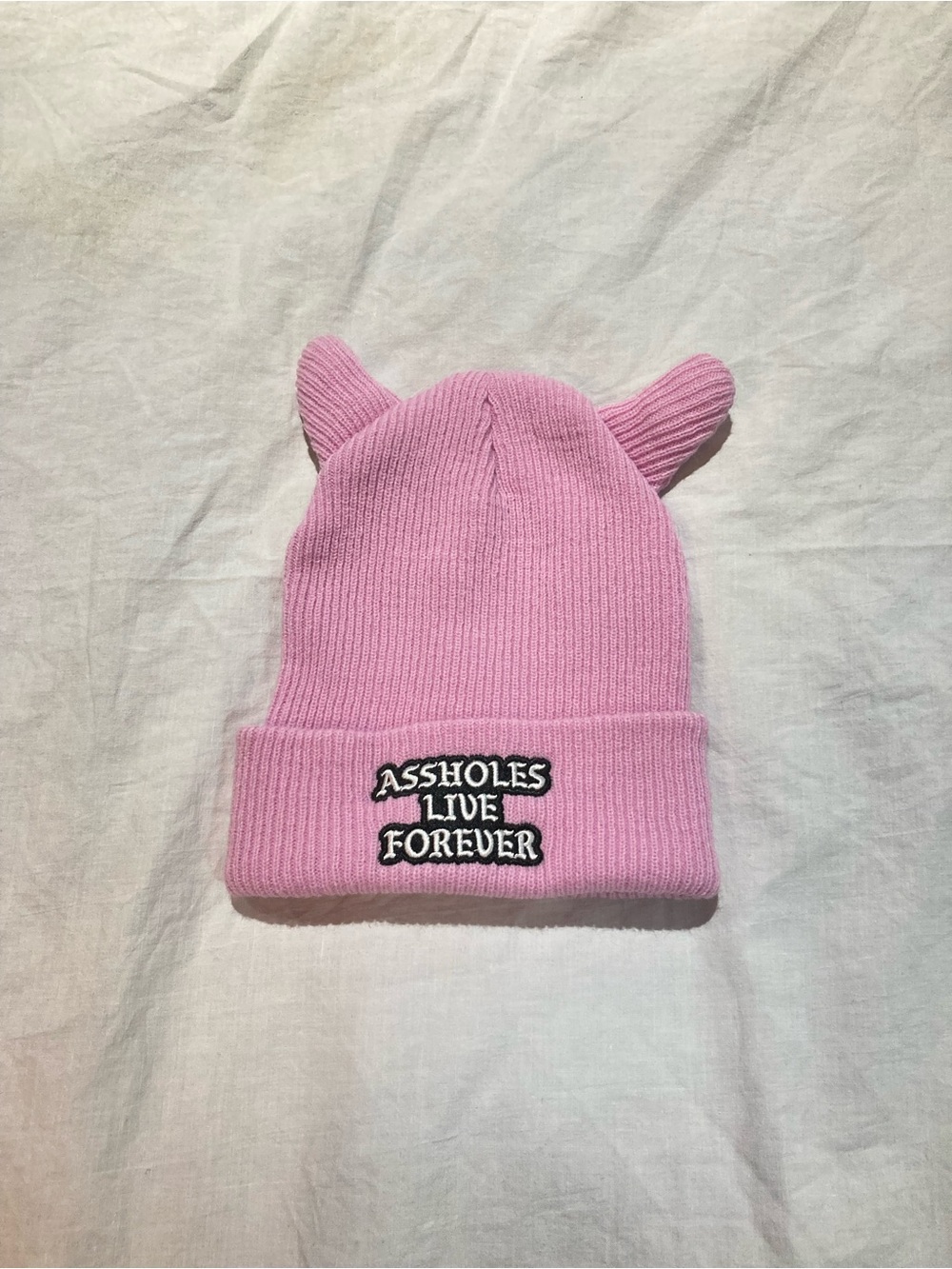 Assholes live forever Horned Knit Hat. Women